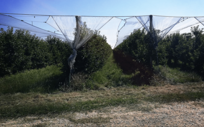 Mars Actu – Procès des 5 d’Arles contre Laboral Terra : « Il n’y a aucune victoire, c’est une humiliation ».