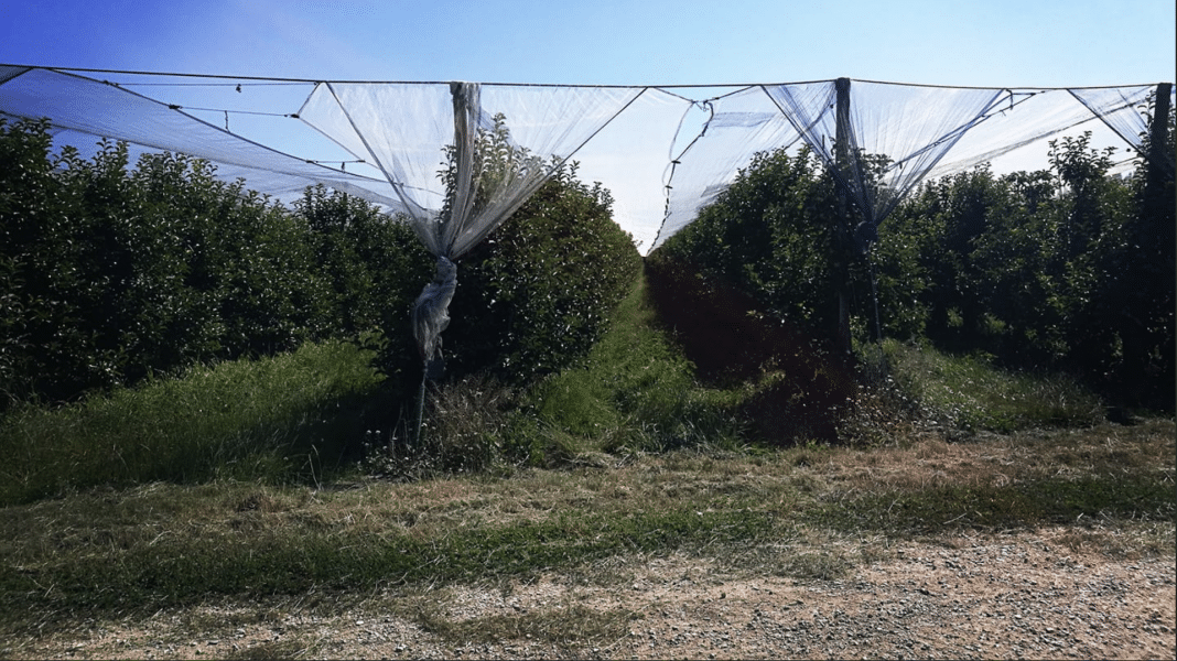 Mars Actu – Procès des 5 d’Arles contre Laboral Terra : « Il n’y a aucune victoire, c’est une humiliation ».